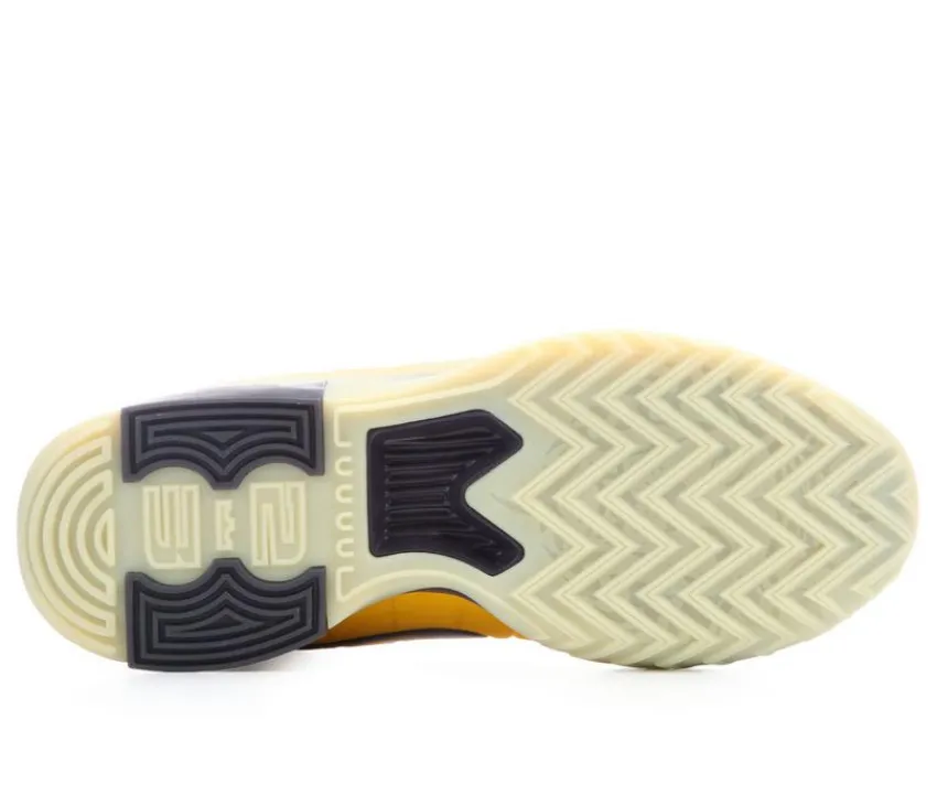Men's Lebron Witness IX Basketball Shoes|Nike New