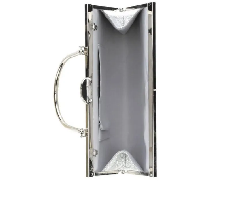 Metal Frame Burst Bag|Vanessa